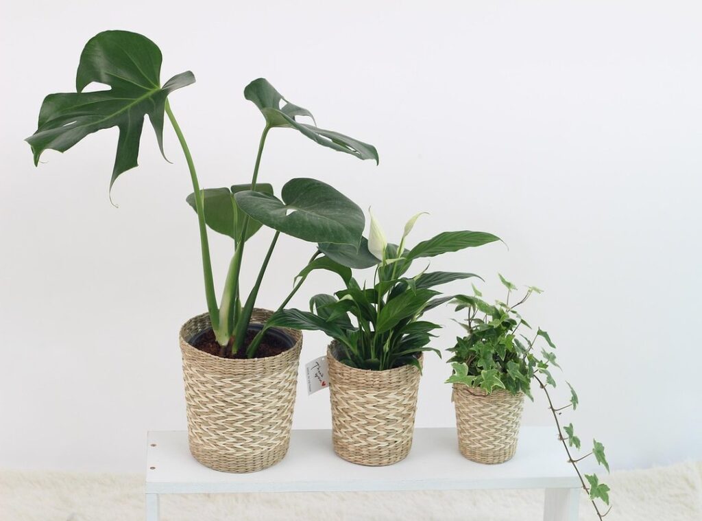 air purifier technology