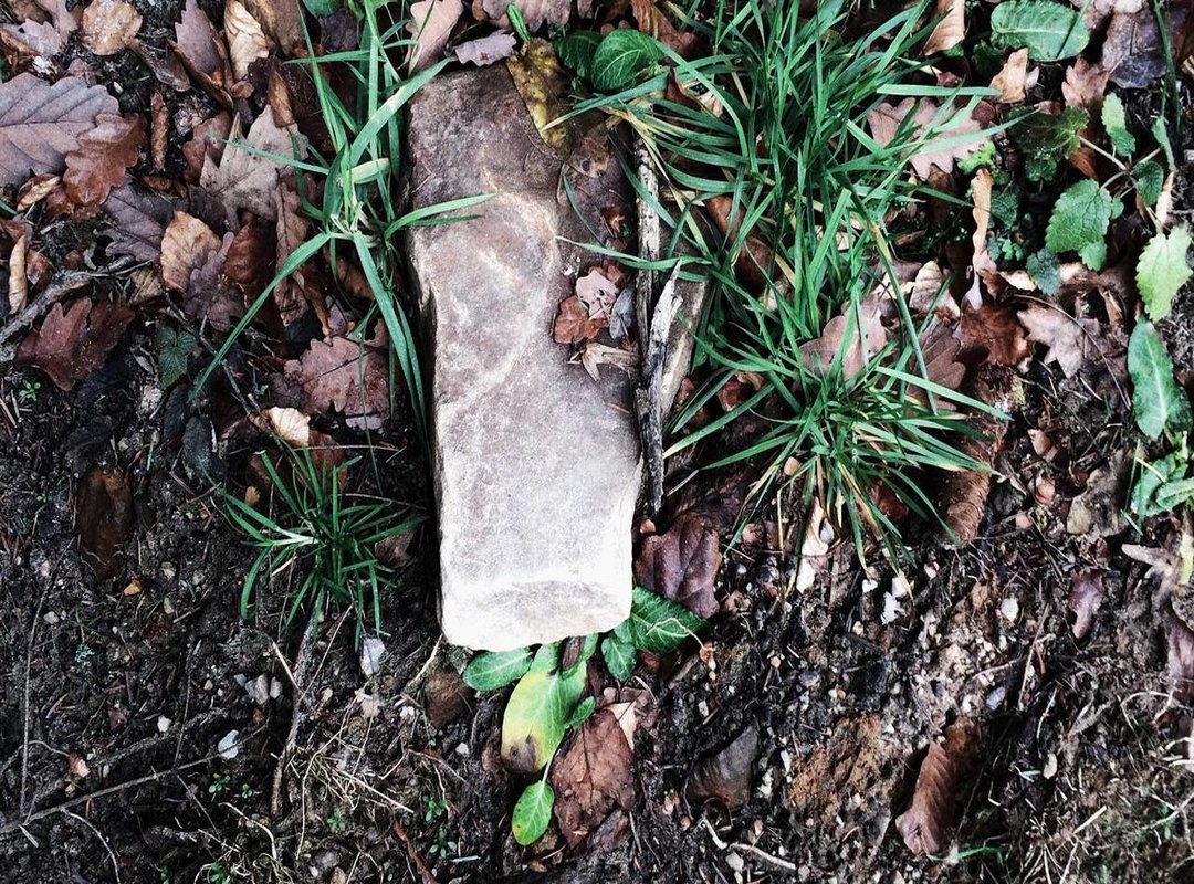 Bringing Him to Life: Drawing the Body, Ears, and Tail