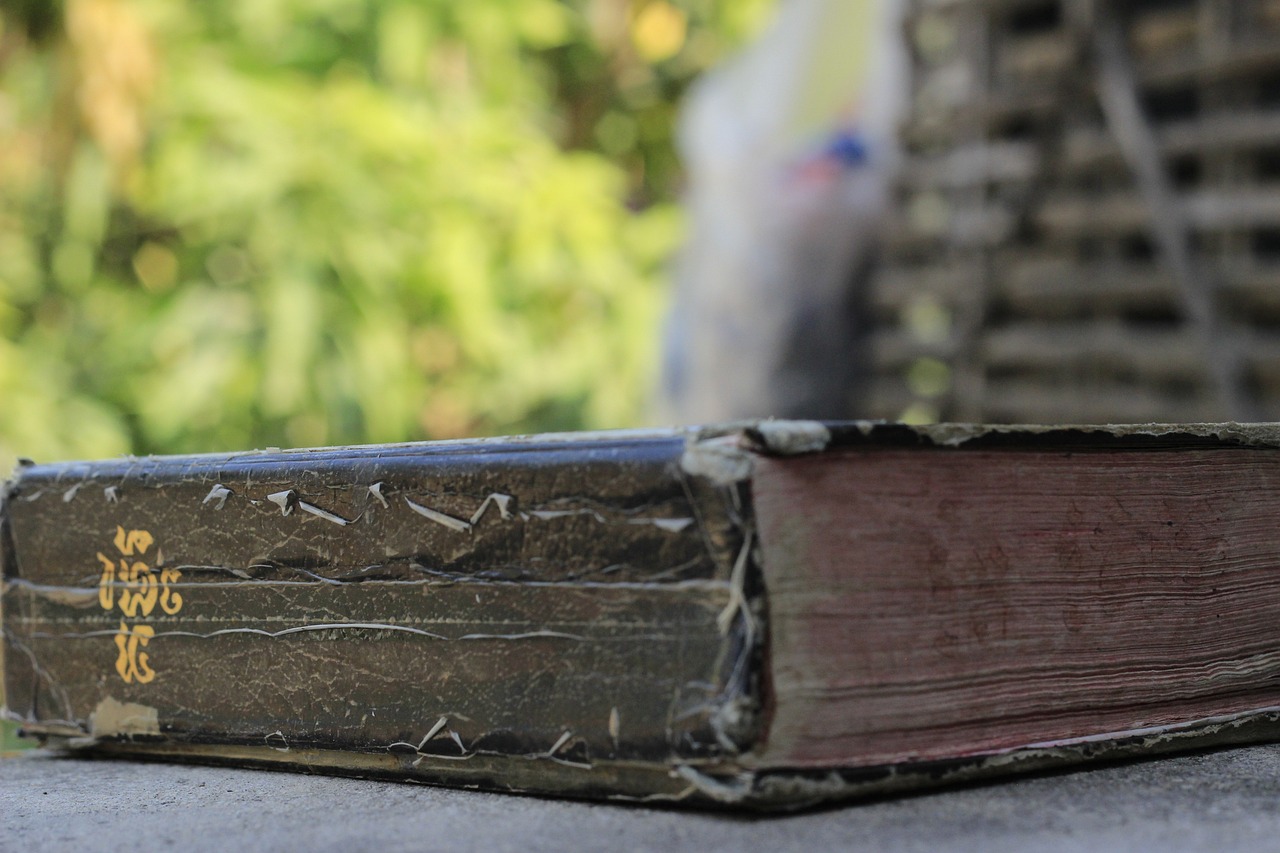 old, bible, jesus, christian, read, faith, christianity, prayer, spiritual, genesis, genesis, genesis, genesis, genesis, genesis