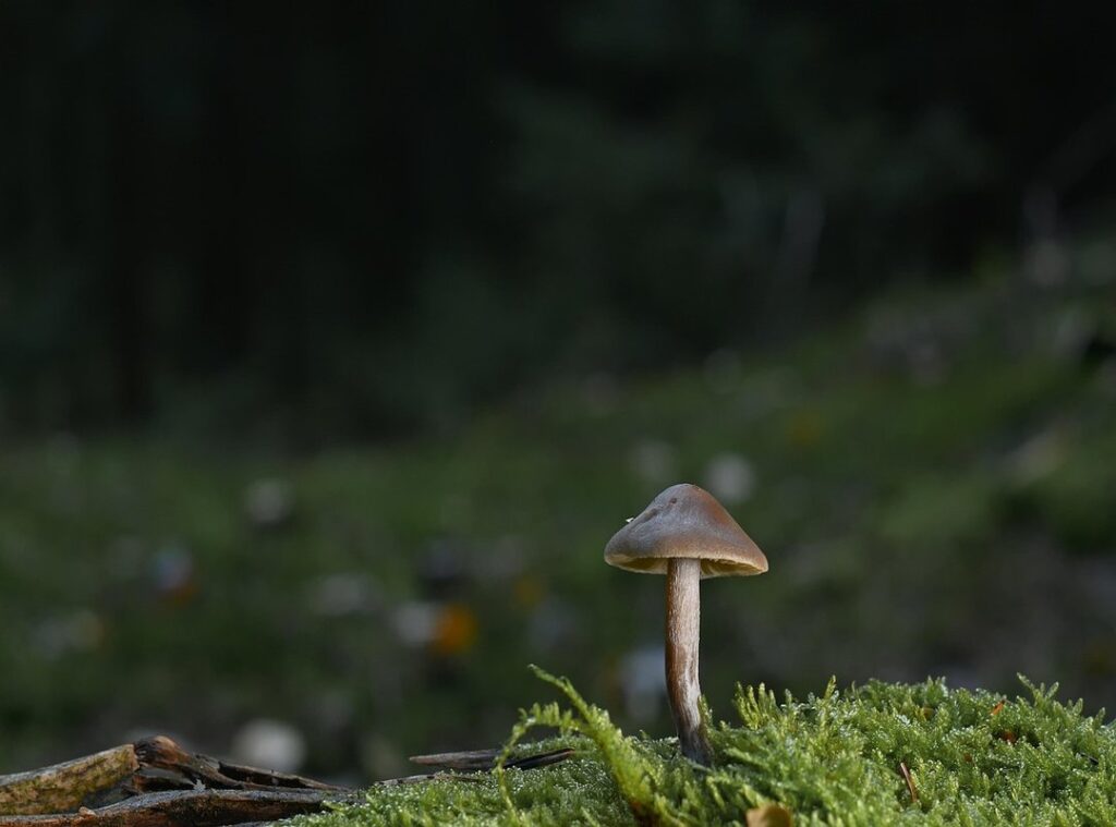 heated floors winter