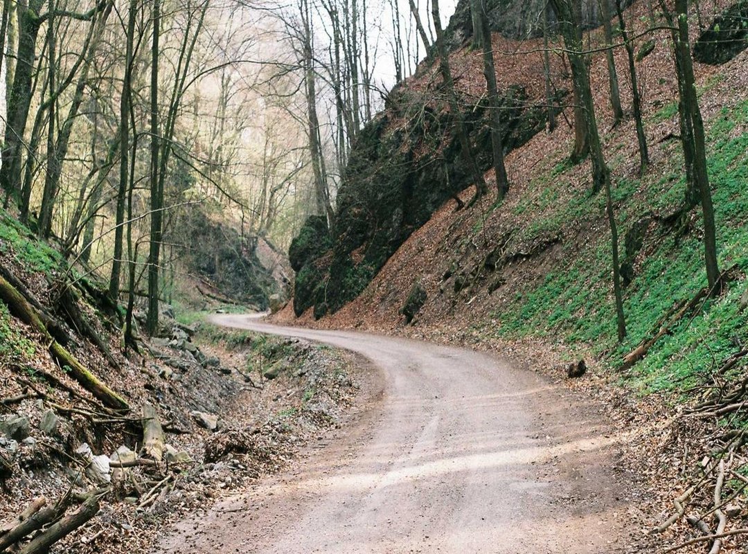 Understanding the Comic Genius: Who is Coco Legrand?