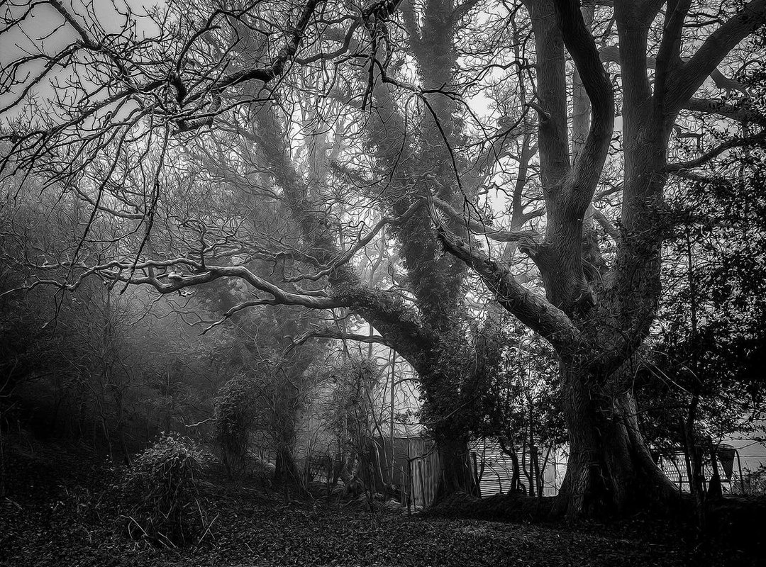 Frequently Asked Questions (FAQs)