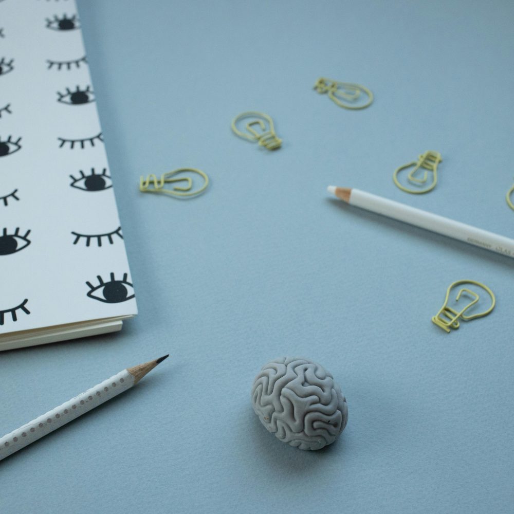 Artistic arrangement of pencils, notepad, brain model, and light bulb paperclips.