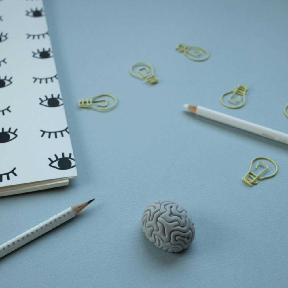 Artistic arrangement of pencils, notepad, brain model, and light bulb paperclips.